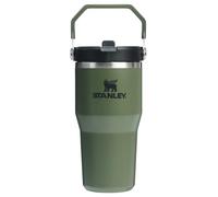 STANLEY IceFlow 2.0 Flip Straw Tumbler with Handle 20 oz | Twist On Lid and Flip Up Straw | Leakproof Water Bottle | Insulated Stainless Steel | BPA-Free | Dried Pine