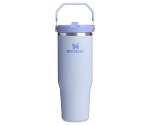 STANLEY IceFlow 2.0 Flip Straw Tumbler, 30 oz, Dew Drop