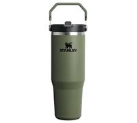 Stanley IceFlow 2.0 Flip Straw Tumbler 30 oz Dried Pine (Box)