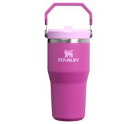 STANLEY IceFlow 2.0 Flip Straw Tumbler with Handle 20 oz | Twist On Lid and Flip Up Straw | Leakproof Water Bottle | Insulated Stainless Steel | BPA-Free | Dark Blossom