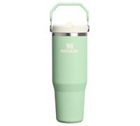 Stanley IceFlow 2.0 Flip Straw Tumbler with Handle 30 oz | Twist On Lid and Flip Up Straw | Leak Resistant Water Bottle | Insulated Stainless Steel | BPA-Free | Pistachio