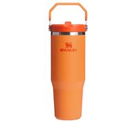 Stanley IceFlow 2.0 Flip Straw Tumbler with Handle 30 oz | Twist On Lid and Flip Up Straw | Leak Resistant Water Bottle | Insulated Stainless Steel | BPA-Free | Goldenrod Coral