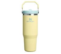 Stanley IceFlow 2.0 Flip Straw Tumbler with Handle 30 oz | Twist On Lid and Flip Up Straw | Leakproof Water Bottle | Insulated Stainless Steel | BPA-Free | Pomelo