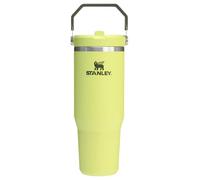 Stanley IceFlow 2.0 Flip Straw Tumbler with Handle 30 oz | Twist On Lid and Flip Up Straw | Leakproof Water Bottle | Insulated Stainless Steel | BPA-Free | Prickly Pear