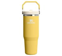 STANLEY IceFlow 2.0 Flip Straw Tumbler with Handle 30 oz | Twist On Lid and Flip Up Straw | Leakproof Water Bottle | Insulated Stainless Steel | BPA-Free | Daffodil