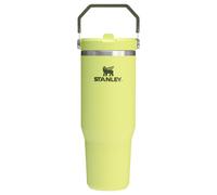 Stanley IceFlow 2.0 Flip Straw Tumbler with Handle 30 oz | Twist On Lid and Flip Up Straw | Leakproof Water Bottle | Insulated Stainless Steel | BPA-