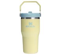 STANLEY IceFlow 2.0 Straw Cup with Handle, 590 ml, Twist-Top Lid and Flip-Open Straw, Leak-Proof Water Bottle, Insulated Stainless Steel, BPA-Free, Pomelo