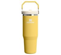 STANLEY IceFlow 2.0 Flip Straw Tumbler with Handle 30 oz | Twist On Lid and Flip Up Straw | Leakproof Water Bottle | Insulated Stainless Steel | BPA-Free | Daffodil