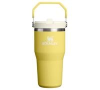 Stanley IceFlow 2.0 Tumbler with Flip Straw with Handle, Screw Lid and Flip Straw, Leakproof Water Bottle, Stainless Steel, BPA Free, Daffodil
