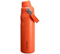 Stanley IceFlow Aerolight Bottle Fast Flow 24 OZ Tigerlily Plum