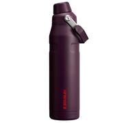 Stanley IceFlow Fast Flow Water Bottle 36 oz | Angled Spout Lid | Lightweight and Leakproof for Travel and Sports | Insulated Stainless Steel | BPA-Free | Plum