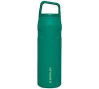 Stanley IceFlow Cap and Carry Bottle - Lightweight, Leakproof, and Insulated for Maximum Cold Retention - Sustainable 90% Recycled Stainless Steel, Alpine, 24oz