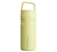 Stanley IceFlow Cap and Carry Water Bottle 16 oz | Wide Mouth Twist Lid | Lightweight and Leakproof for Travel and Sports | Insulated Stainless Steel
