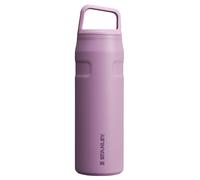 Stanley IceFlow Cap and Carry Water Bottle 24 oz | Wide Mouth Twist Lid | Lightweight and Leakproof for Travel and Sports | Insulated Stainless Steel
