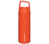 STANLEY IceFlow Cap and Carry Water Bottle 24 oz | Wide Mouth Twist Lid | Lightweight and Leakproof for Travel and Sports | Insulated Stainless Steel | BPA-Free | Tigerlily