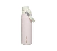 Clean Slate Iceflow 0.7L Bottle with Fast Flow Lid in Rose Quartz