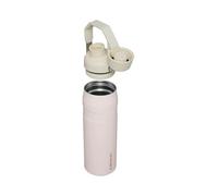 Clean Slate Iceflow 0.7L Bottle with Fast Flow Lid in Rose Quartz