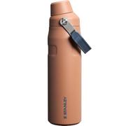STANLEY IceFlow Fast Flow Bottle, 24 oz, Toast VRT | Angled Spout Lid | Lightweight and Leakproof for Travel and Sports | Easy Carry Handle | Insulated Stainless Steel | BPA-Free