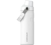 Stanley IceFlow Fast Flow Water Bottle 16 oz | Angled Spout Lid | Lightweight and Leakproof for Travel and Sports | Insulated Stainless Steel | BPA-Free | Frost