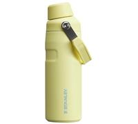 Stanley IceFlow Fast Flow Water Bottle 16 oz | Angled Spout Lid | Lightweight and Leakproof for Travel and Sports | Insulated Stainless Steel | BPA-Free | Pomelo