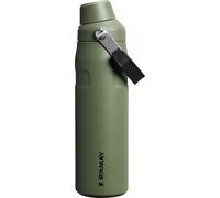 Stanley IceFlow Fast Flow Water Bottle 24 oz | Angled Spout Lid | Lightweight and Leakproof for Travel and Sports | Insulated Stainless Steel | BPA-Free | Dried Pine VRT