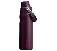 Stanley IceFlow Fast Flow Water Bottle 24 oz | Angled Spout Lid | Lightweight and Leakproof for Travel and Sports | Insulated Stainless Steel | BPA-Free | Plum