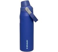 Stanley IceFlow Fast Flow Water Bottle 24 OZ Angled Spout Lid Lightweight Leakproof for Travel Gym Insulated Stainless