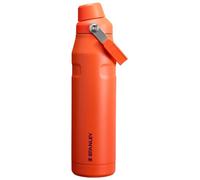 Stanley IceFlow Fast Flow Water Bottle 36 oz | Angled Spout Lid | Lightweight and Leakproof for Travel and Sports | Insulated Stainless Steel | BPA-Free | Tigerlily Plum