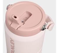 Stanley The IceFlow Flip Straw 2.0 1.18L Jug Water Bottle