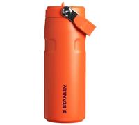 Stanley IceFlow Flip Straw 2.0 Water Bottle 16 OZ | Built-in Straw with Larger Opening | Lightweight & Leak-Resistant | Insulated Stainless Steel | BPA-Free | Tigerlily Plum