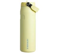 Stanley IceFlow Flip Straw 2.0 Water Bottle 24 OZ | Built-In Straw with Larger Opening | Lightweight & Leak-Resistant | Insulated Stainless Steel | BPA-Free | Pomelo
