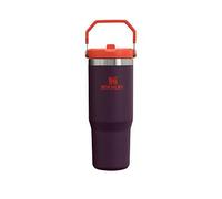 Stanley 0.89L Classic Iceflow Flip Straw Travel Tumbler - Purple - Size: ONE size