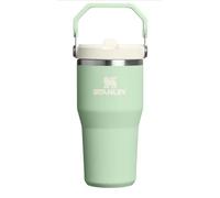 STANLEY IceFlow Flip Straw Tumbler with Handle 20 oz | Twist On Lid and Flip Up Straw | Leak Resistant Water Bottle | Insulated Stainless Steel |BPA-Free | Pistachio Green