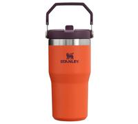 STANLEY IceFlow Flip Straw Tumbler with Handle 20 oz | Twist On Lid and Flip Up Straw | Leak Resistant Water Bottle | Insulated Stainless Steel |BPA-Free | Tigerlily Plum