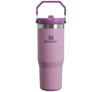 Stanley IceFlow Stainless Steel Tumbler - Vacuum Insulated Water Bottle for Home Office or Car Reusable Cup with Straw Leak Resistant Flip Cold for 1