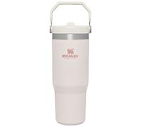 Stanley IceFlow Stainless Steel Tumbler with Straw - Vacuum Insulated Water Bottle for Home Office or Car Reusable Cup with Straw Leak Resistant Flip