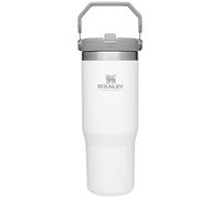 Stanley IceFlow Stainless Steel Tumbler with Straw Vacuum Insulated Water Bottle for Home Office or Car Reusable Cup with S