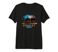 Stanley Idaho Bear Silhouette Starry Night Novelty Graphic Premium T-Shirt