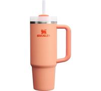 STANLEY Nectarine Quencher H2.0 FlowState Stainless Steel Vacuum Insulated Tumbler with Lid and Straw for Water, Iced Tea or Coffee (Nectarine, 40 oz)