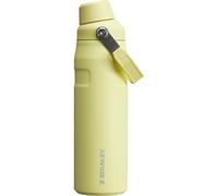 Stanley IceFlow Fast Flow Water Bottle 24 OZ | Angled Spout Lid | Lightweight & Leakproof for Travel & Gym | Insulated Stainless Steel | BPA-Free | Pomelo