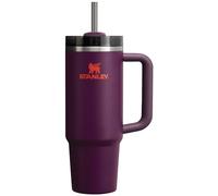 Stanley Quencher H2.0 FlowState Stainless Steel Vacuum Insulated Tumbler with Lid and Straw for Water, Iced Tea or Coffee, Smoothie and More, Plum, 30oz, 10-11825-054
