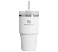 Stanley Quencher H2.0 FlowState Stainless Steel Vacuum Insulated Tumbler with Lid and Straw for Water, Iced Tea or Coffee, Smoothie and More, Frost, 20oz