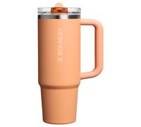 Stanley Quencher ProTour Flip Straw Tumbler with Leakproof Lid 30 oz | Built-In Straw and Handle | Cup Holder Compatible for Travel | Insulated Stain
