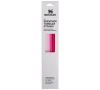 Stanley Reusable Quencher Straws 4Pack of BPAFree Reusable Straws for Clean Drinking Perfect for Stanleys 40oz Tumblers