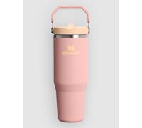 Stanley 1913 IceFlow Flip Straw 0.89L Tumbler - Orange - Size ONE SIZE