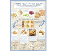 Staple Foods of the World Poster - A2 Size 59.4 x 42cm - Paper Laminated