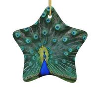 Star Ceramic Christmas Tree Pendants, Personalized Christmas Ornaments, Green Peacock Feather Prints, Family Christmas Ornaments