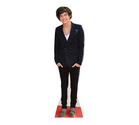 STAR CUTOUTS CS573 Lifesize Cutout of Harry Singer Songwriter 166cm Tall