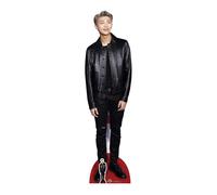 STAR CUTOUTS CS750 RM Lifesize Cardboard Free Desktop Cutout of Kim NAM-Joon (Rap Monster Standup) Black Leather Bangtan Boys, Multicolour