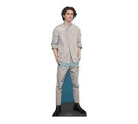 STAR CUTOUTS CS847 Timothee Chalamet Cardboard Cutout Star Mini Height 90cm Width 29cm, Solid, Multicolour, Regular